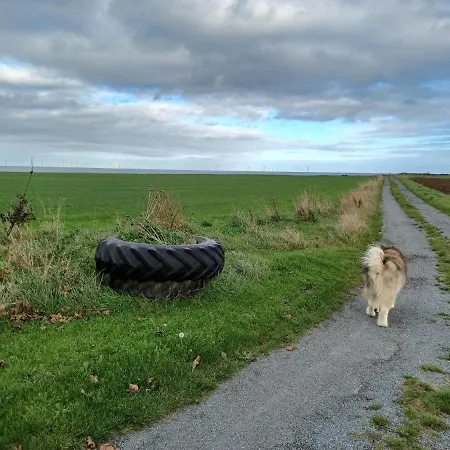 Redhouse Farm Cottage The Most Dog Friendly Place Ive Ever Stayed Withernsea Exterior photo