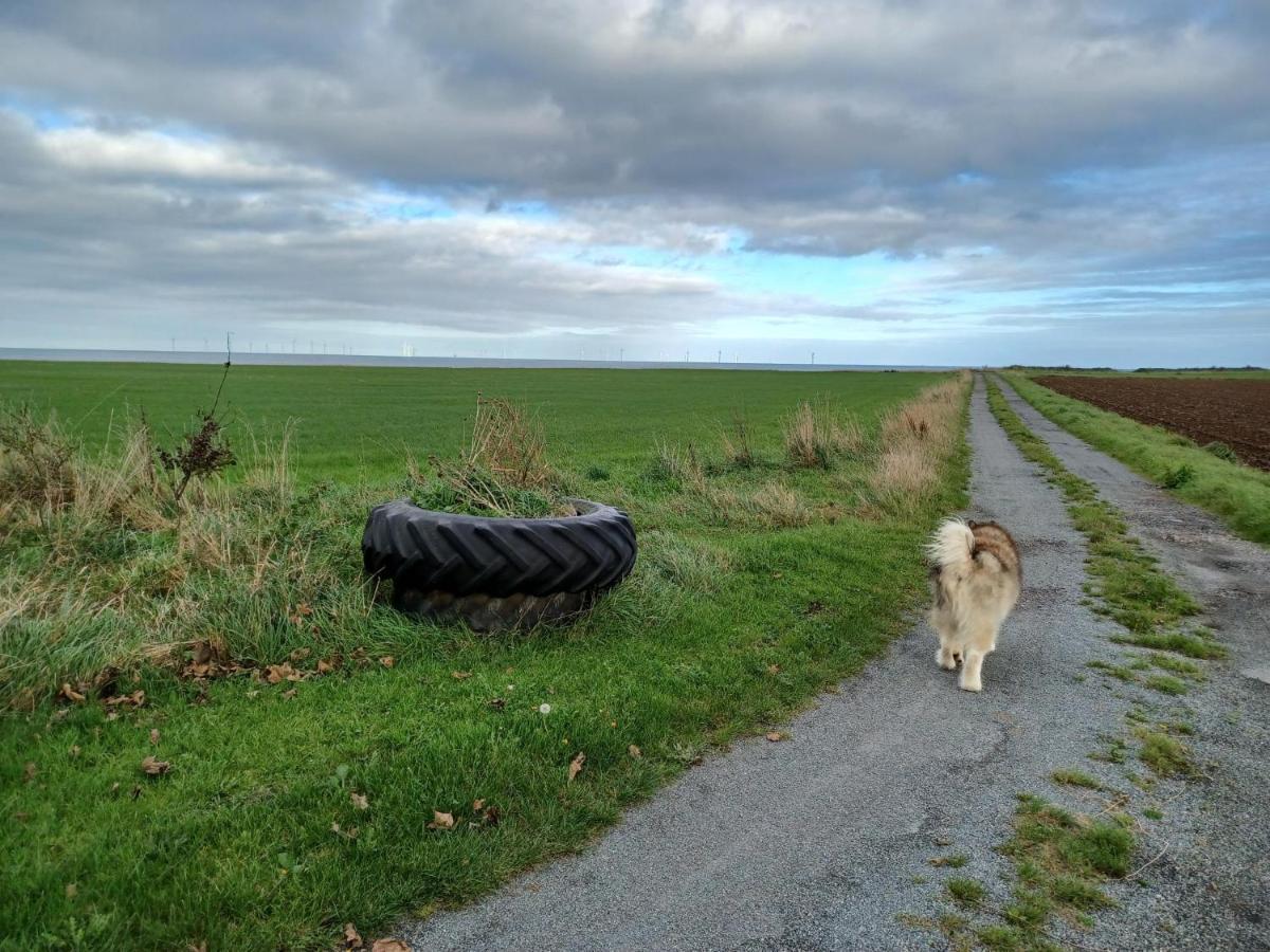 Redhouse Farm The Dog Friendly Place Ive Ever Stayed Holiday home Withernsea